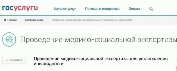 Проведение экспертизы, направленной на определение инвалидности, с медико-социальным уклоном.