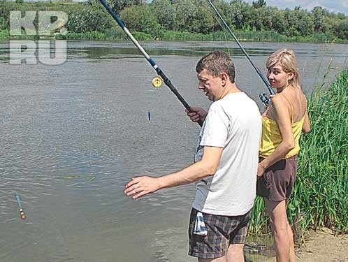 На Дону в Новозиботинном стадо уклеек в какой-то момент должно бросить корм и снова заплакать.