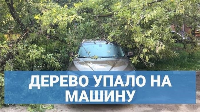 Дерево падает на ваш автомобиль.