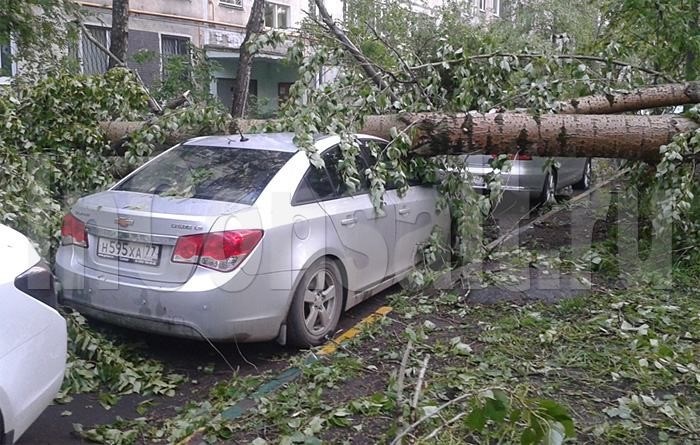 Падение деревьев на автомобили