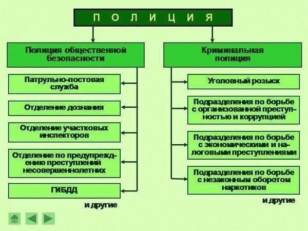 Ежедневные обязанности и задачи сотрудника полиции