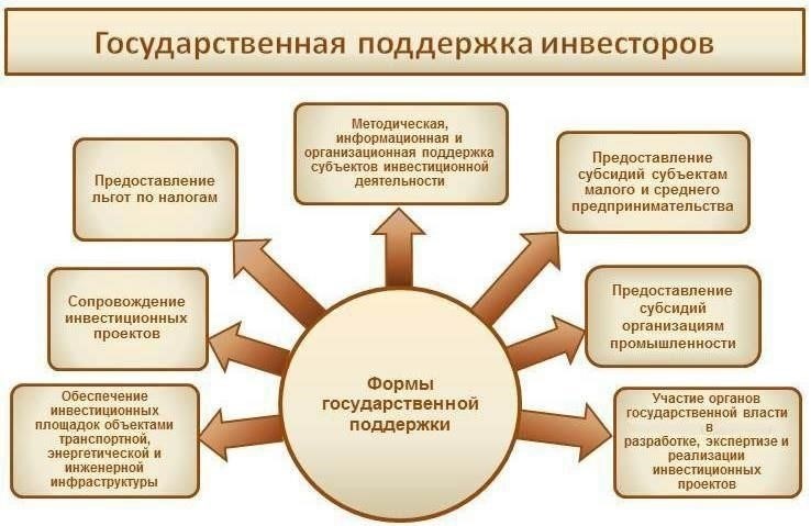 Государственная поддержка и перспективы развития