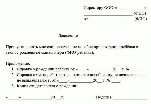 Как написать отчет о финансовой помощи при рождении ребенка