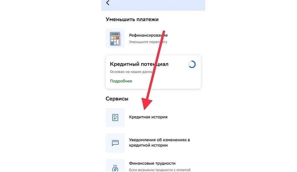 Как проверить свои просроченные обязательства по фамилии в Ишиме