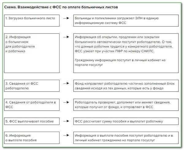 Когда работодатель оплачивает больничный лист, а когда за него берется ФСС?