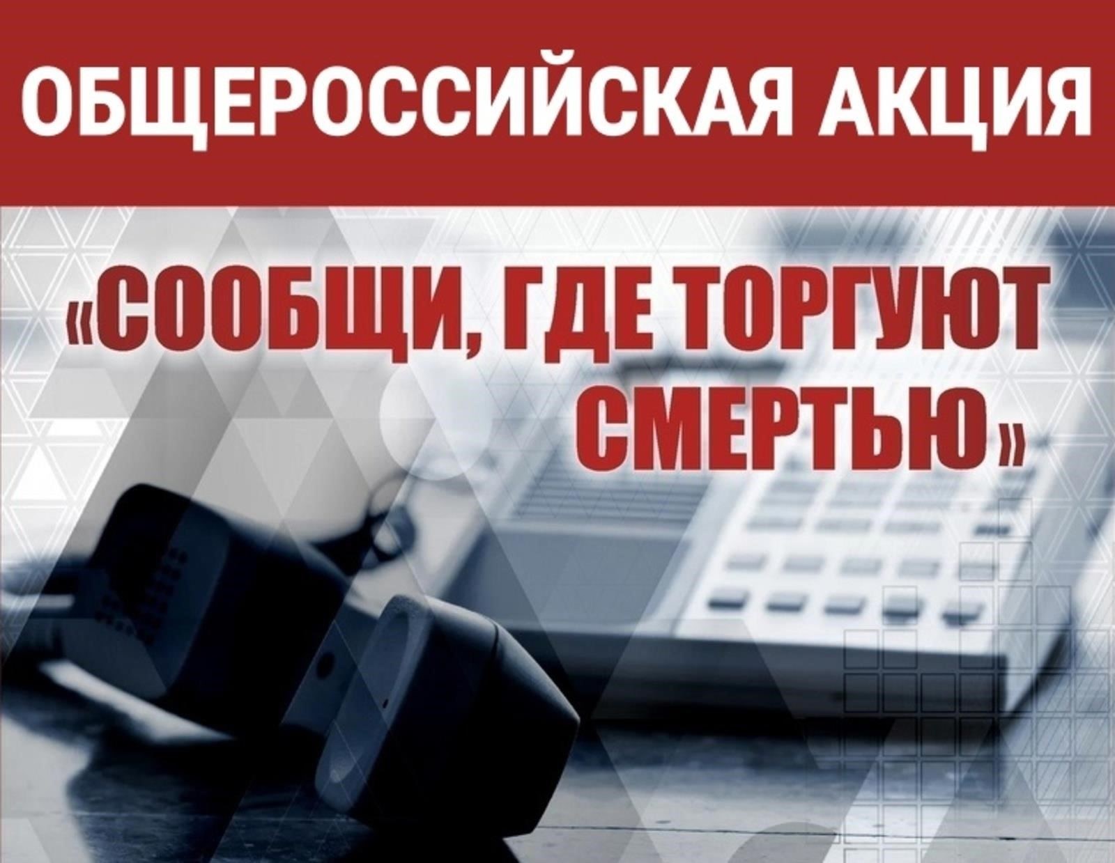 Ноябрь 2024 года: Крупные антинаркотические акции, скоординированные с региональными органами полиции по всей Ленинградской области.