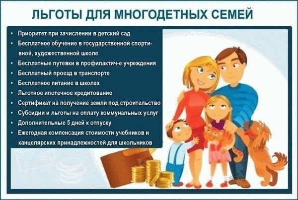 Понятие оплачиваемого отпуска для многодетных родителей
