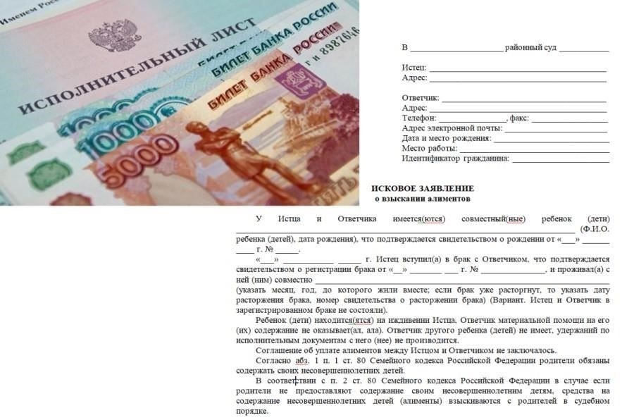 Пошаговое руководство по подготовке иска о взыскании алиментов