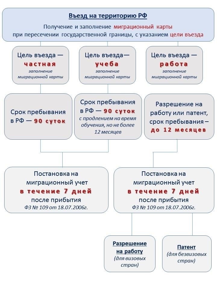 Процесс регистрации иностранных граждан принимающей организацией