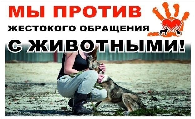 Психология жестокого обращения с животными: Что заставляет людей причинять вред животным?