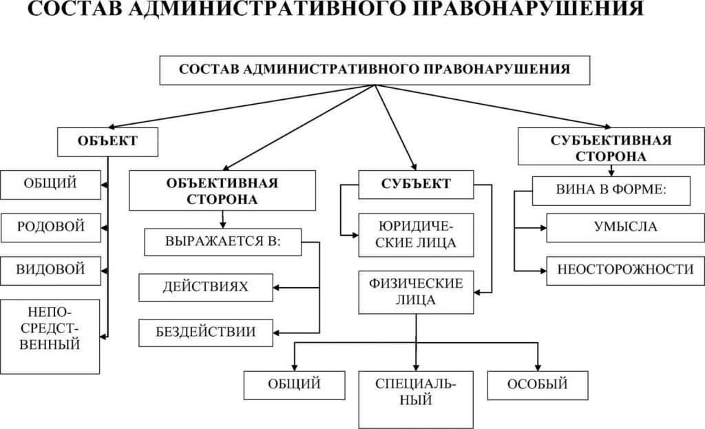 Виды правонарушений в ходе административного разбирательства